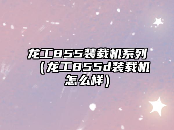 龍工855裝載機系列（龍工855d裝載機怎么樣）