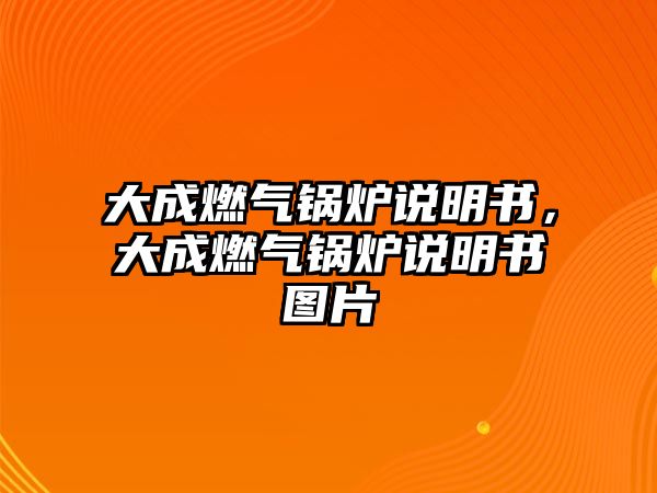 大成燃氣鍋爐說明書，大成燃氣鍋爐說明書圖片