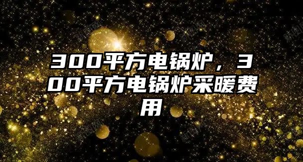 300平方電鍋爐，300平方電鍋爐采暖費(fèi)用