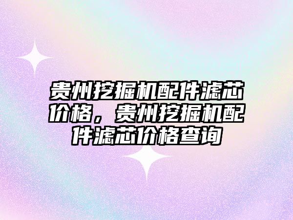 貴州挖掘機配件濾芯價格，貴州挖掘機配件濾芯價格查詢