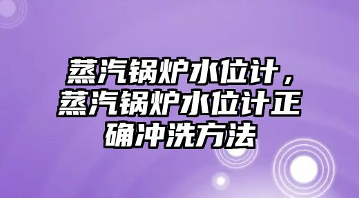 蒸汽鍋爐水位計，蒸汽鍋爐水位計正確沖洗方法