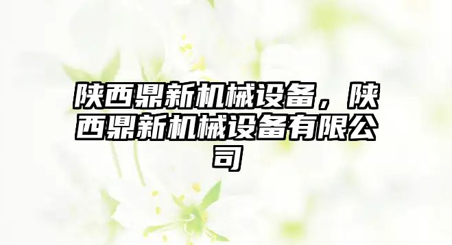 陜西鼎新機械設(shè)備，陜西鼎新機械設(shè)備有限公司