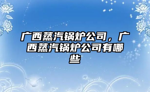 廣西蒸汽鍋爐公司，廣西蒸汽鍋爐公司有哪些