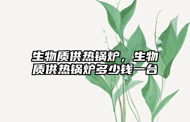 生物質(zhì)供熱鍋爐，生物質(zhì)供熱鍋爐多少錢一臺