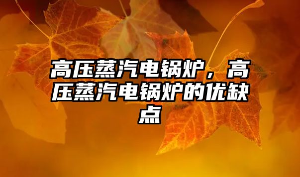 高壓蒸汽電鍋爐，高壓蒸汽電鍋爐的優(yōu)缺點