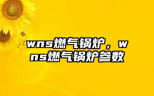 wns燃氣鍋爐，wns燃氣鍋爐參數