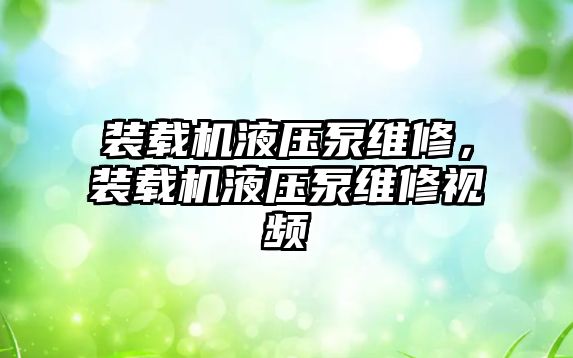 裝載機液壓泵維修，裝載機液壓泵維修視頻