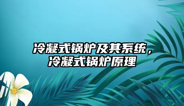 冷凝式鍋爐及其系統(tǒng)，冷凝式鍋爐原理