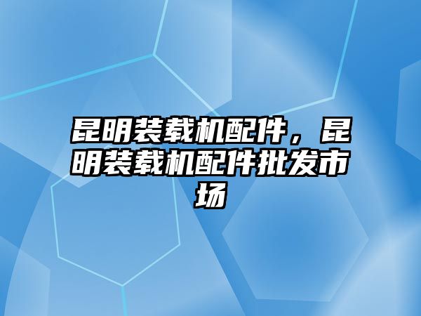 昆明裝載機配件，昆明裝載機配件批發(fā)市場