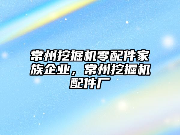 常州挖掘機零配件家族企業(yè)，常州挖掘機配件廠