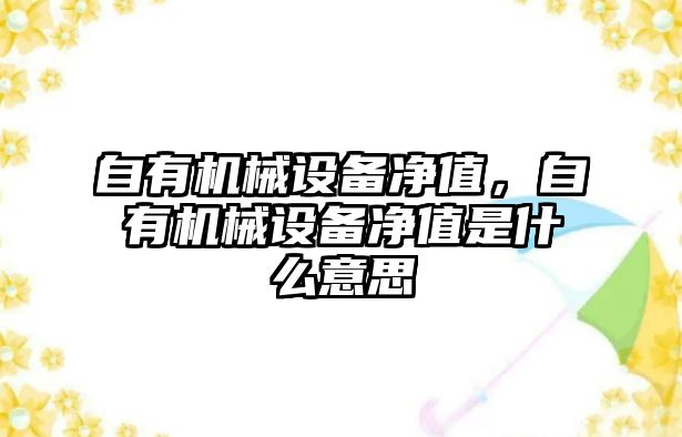 自有機(jī)械設(shè)備凈值，自有機(jī)械設(shè)備凈值是什么意思