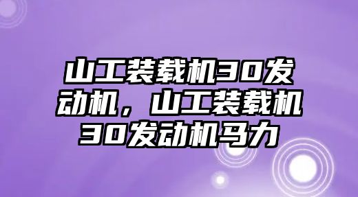 山工裝載機(jī)30發(fā)動(dòng)機(jī)，山工裝載機(jī)30發(fā)動(dòng)機(jī)馬力