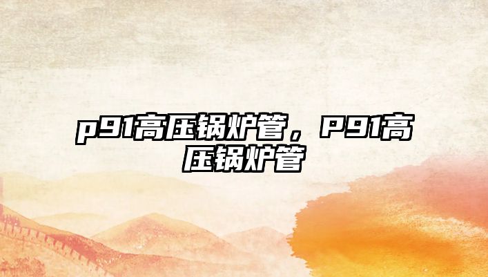 p91高壓鍋爐管，P91高壓鍋爐管