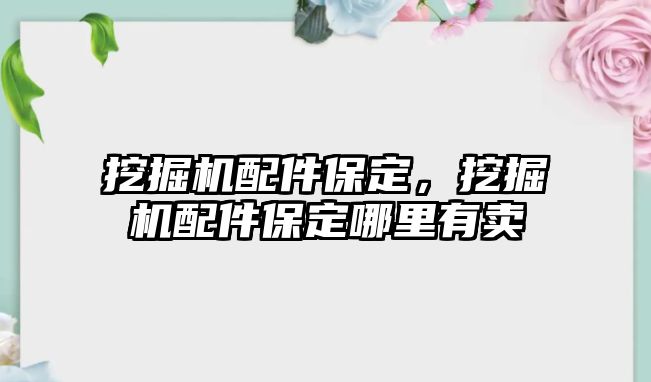 挖掘機(jī)配件保定，挖掘機(jī)配件保定哪里有賣