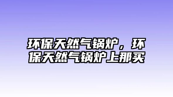 環(huán)保天然氣鍋爐，環(huán)保天然氣鍋爐上那買