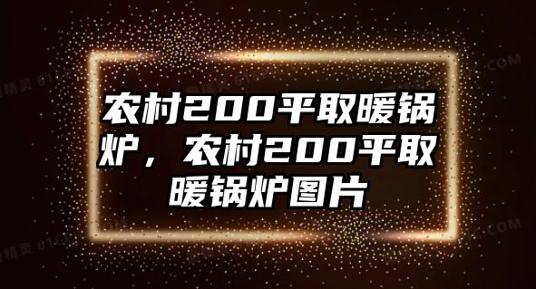 農村200平取暖鍋爐，農村200平取暖鍋爐圖片