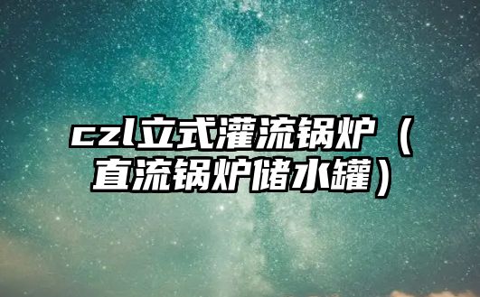 czl立式灌流鍋爐（直流鍋爐儲水罐）