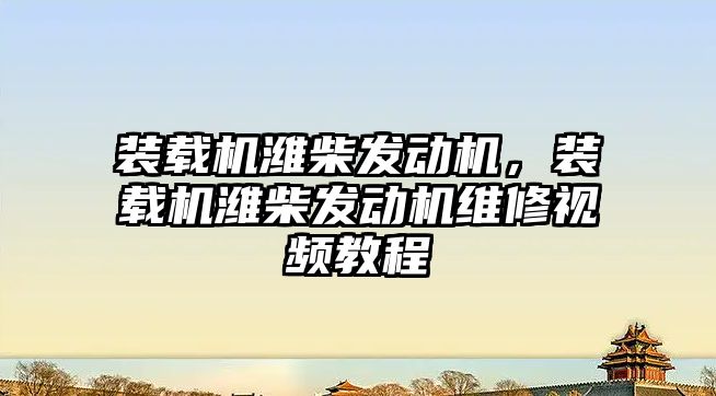 裝載機濰柴發(fā)動機，裝載機濰柴發(fā)動機維修視頻教程