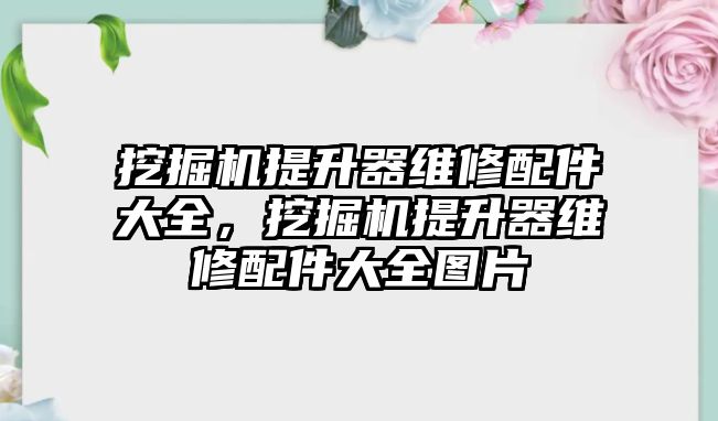 挖掘機提升器維修配件大全，挖掘機提升器維修配件大全圖片