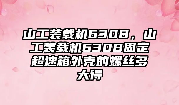 山工裝載機(jī)630B，山工裝載機(jī)630B固定超速箱外殼的螺絲多大得