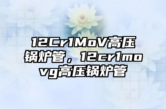 12Cr1MoV高壓鍋爐管，12cr1movg高壓鍋爐管