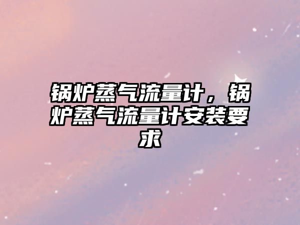 鍋爐蒸氣流量計，鍋爐蒸氣流量計安裝要求