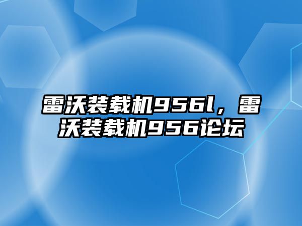 雷沃裝載機956l，雷沃裝載機956論壇