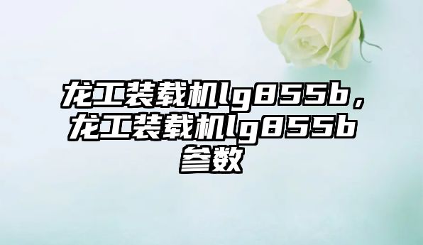 龍工裝載機lg855b，龍工裝載機lg855b參數(shù)