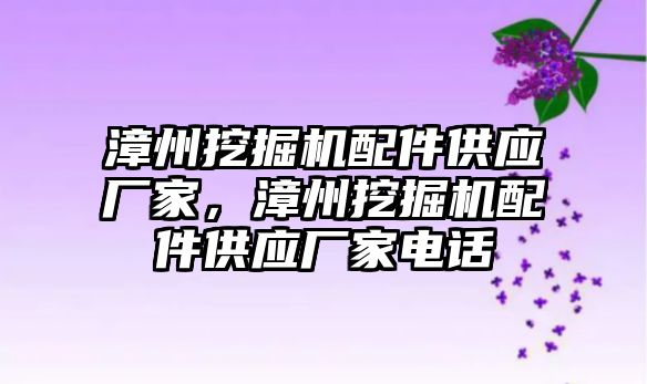 漳州挖掘機配件供應廠家，漳州挖掘機配件供應廠家電話