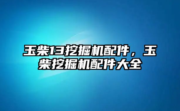 玉柴13挖掘機配件，玉柴挖掘機配件大全