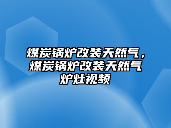 煤炭鍋爐改裝天然氣，煤炭鍋爐改裝天然氣爐灶視頻