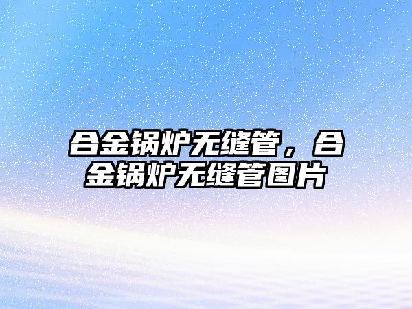 合金鍋爐無縫管，合金鍋爐無縫管圖片