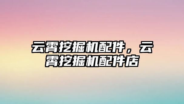 云霄挖掘機配件，云霄挖掘機配件店