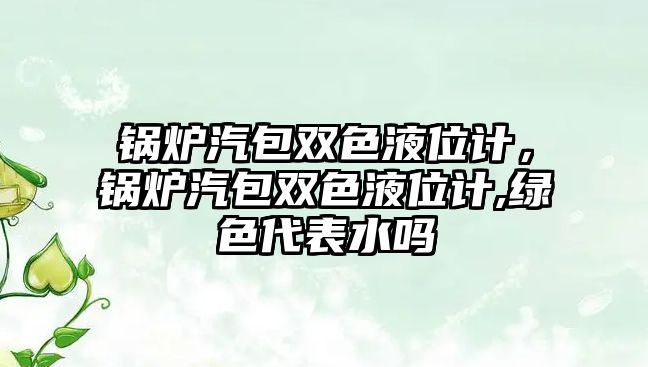 鍋爐汽包雙色液位計(jì)，鍋爐汽包雙色液位計(jì),綠色代表水嗎