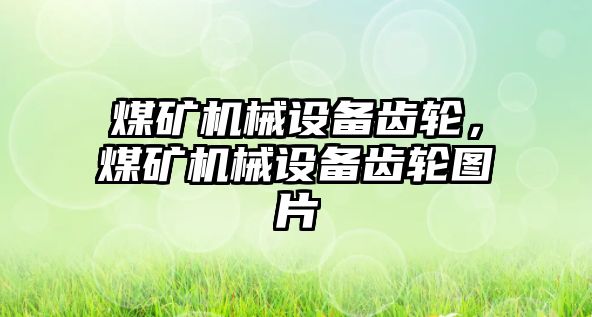 煤礦機械設備齒輪，煤礦機械設備齒輪圖片