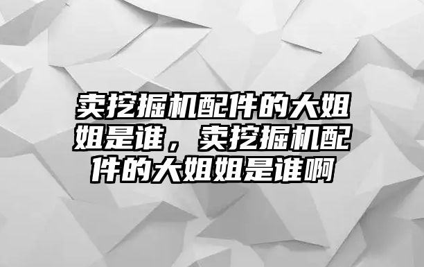 賣挖掘機配件的大姐姐是誰，賣挖掘機配件的大姐姐是誰啊