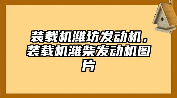 裝載機(jī)濰坊發(fā)動(dòng)機(jī)，裝載機(jī)濰柴發(fā)動(dòng)機(jī)圖片