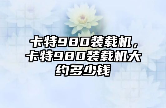 卡特980裝載機，卡特980裝載機大約多少錢