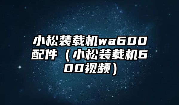 小松裝載機(jī)wa600配件（小松裝載機(jī)600視頻）