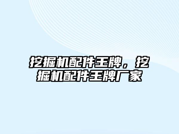 挖掘機配件王牌，挖掘機配件王牌廠家