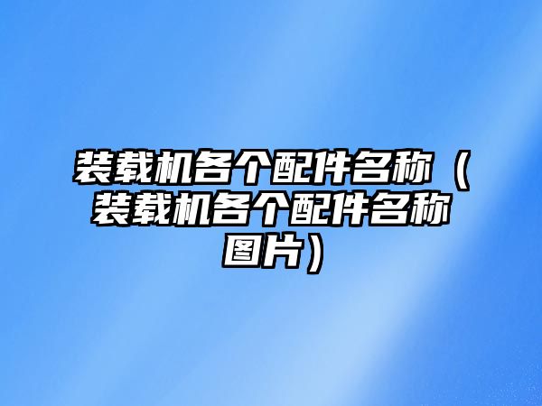 裝載機(jī)各個(gè)配件名稱(chēng)（裝載機(jī)各個(gè)配件名稱(chēng)圖片）