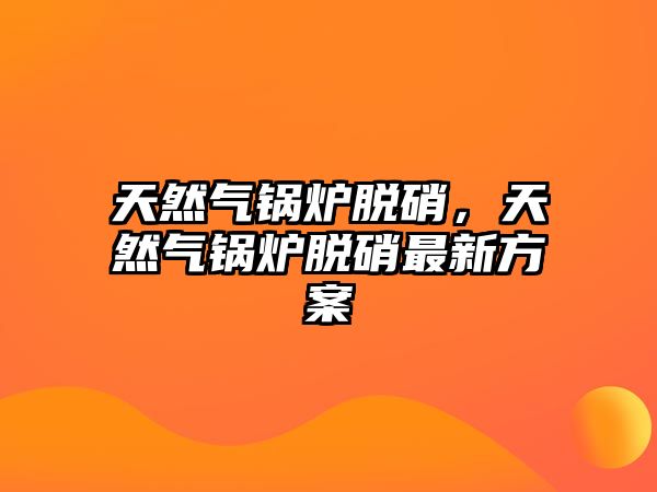 天然氣鍋爐脫硝，天然氣鍋爐脫硝最新方案