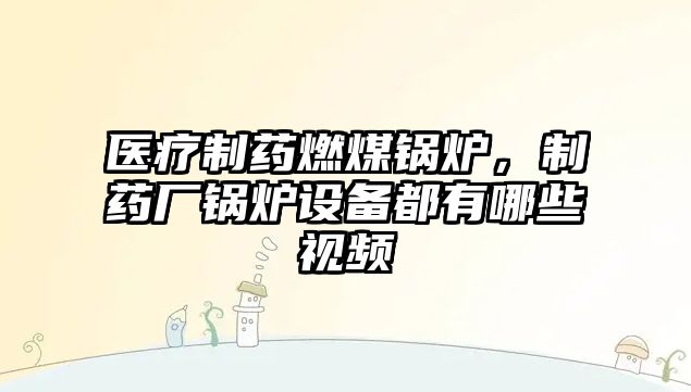 醫(yī)療制藥燃煤鍋爐，制藥廠鍋爐設備都有哪些視頻