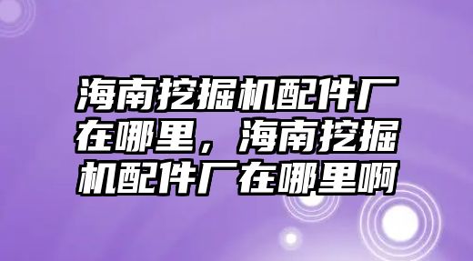 海南挖掘機配件廠在哪里，海南挖掘機配件廠在哪里啊