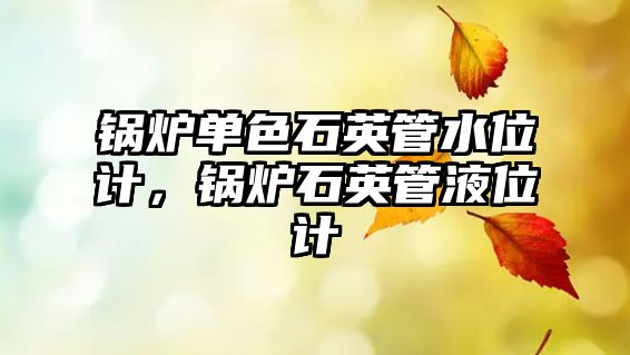 鍋爐單色石英管水位計，鍋爐石英管液位計