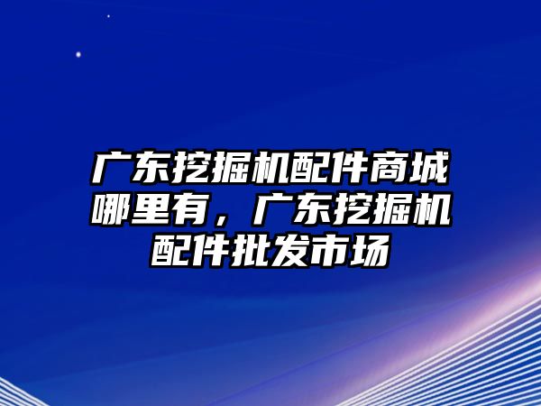 廣東挖掘機(jī)配件商城哪里有，廣東挖掘機(jī)配件批發(fā)市場