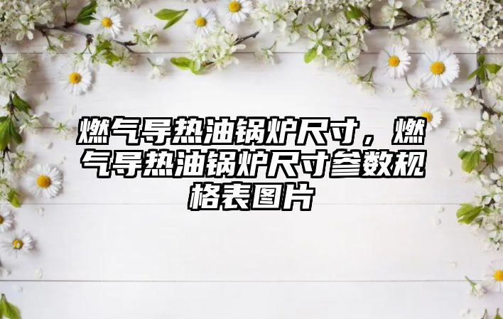 燃?xì)鈱?dǎo)熱油鍋爐尺寸，燃?xì)鈱?dǎo)熱油鍋爐尺寸參數(shù)規(guī)格表圖片