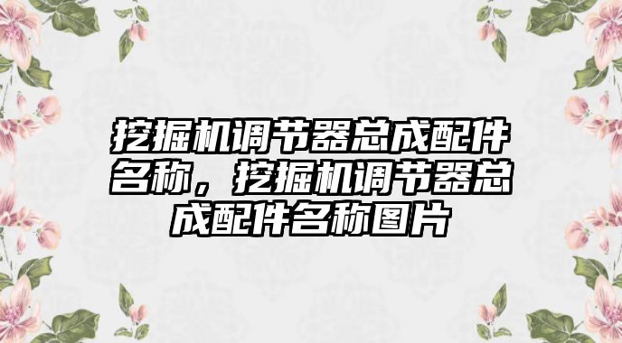 挖掘機調(diào)節(jié)器總成配件名稱，挖掘機調(diào)節(jié)器總成配件名稱圖片