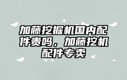 加藤挖掘機國內(nèi)配件貴嗎，加藤挖機配件專賣