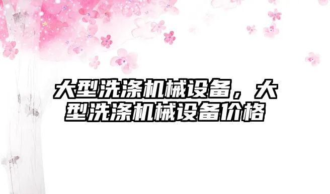 大型洗滌機械設備，大型洗滌機械設備價格